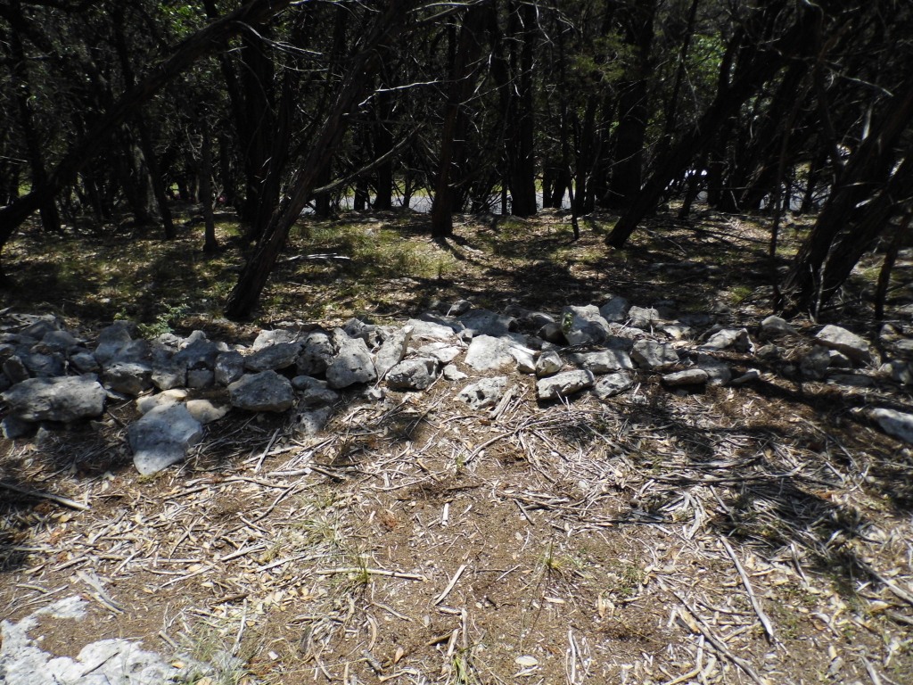12333 B Ranch Road 12, Unit 2 Wimberley, TX 78676 - Photo 12 of 25 a view of a forest with trees