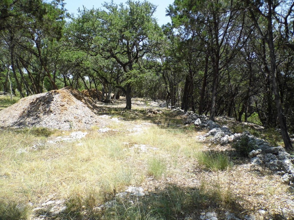12333 B Ranch Road 12, Unit 2 Wimberley, TX 78676 - Photo 15 of 25 a view of a yard with trees