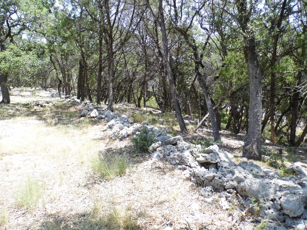 12333 B Ranch Road 12, Unit 2 Wimberley, TX 78676 - Photo 16 of 25 a view of a yard with trees