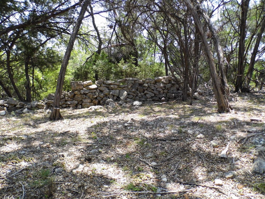 12333 B Ranch Road 12, Unit 2 Wimberley, TX 78676 - Photo 20 of 25 a view of a forest filled with trees