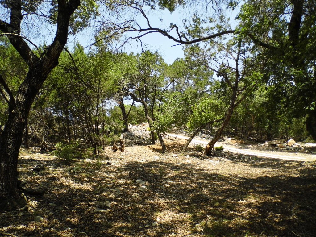 12333 B Ranch Road 12, Unit 2 Wimberley, TX 78676 - Photo 7 of 25 a view of a yard with plants and trees