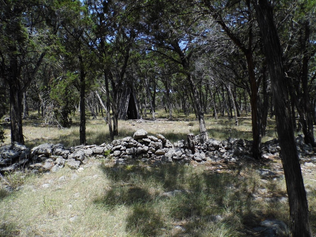 12333 B Ranch Road 12, Unit 2 Wimberley, TX 78676 - Photo 9 of 25 a view of a forest filled with trees