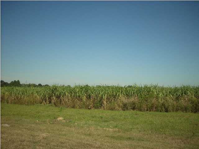 0 Lormand Road Maurice, LA 70555 - Photo 1 of 2 Primary Photo