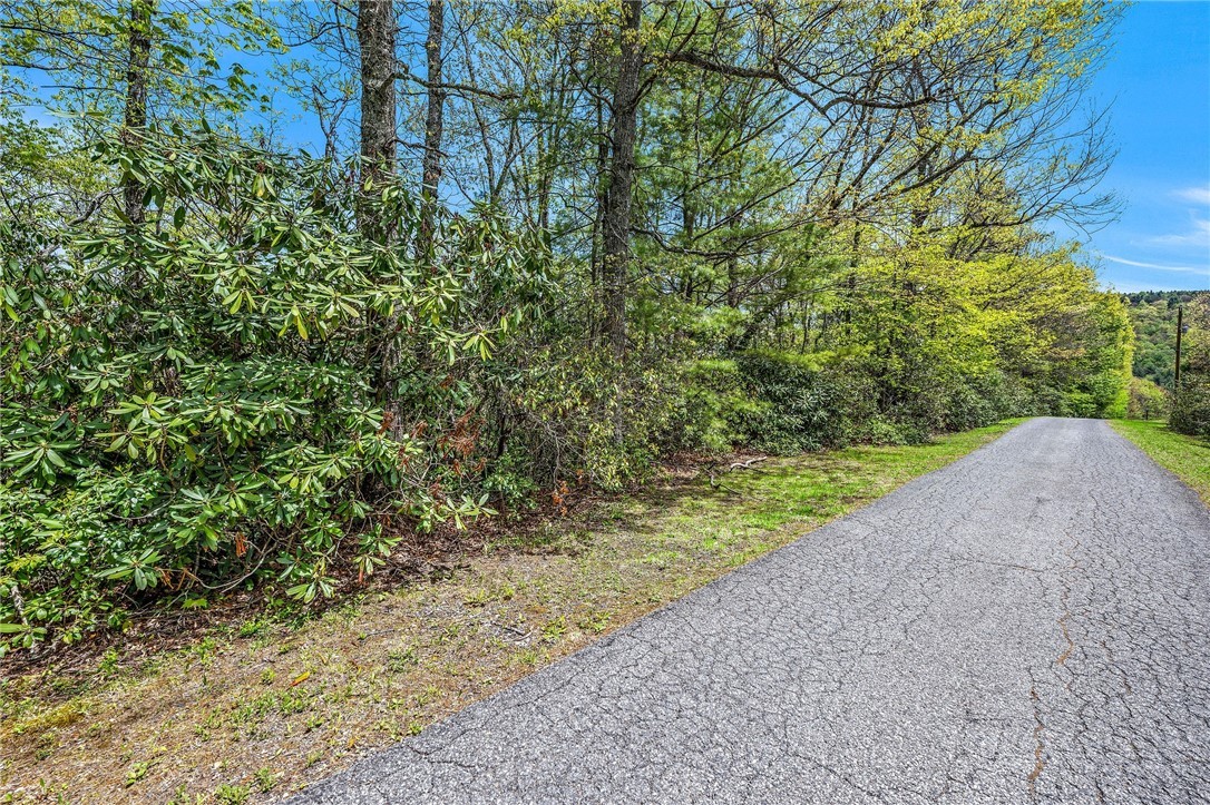 Canoe Gap Road West Jefferson, NC 28694 - Photo 11 of 20 Gallery Image 11