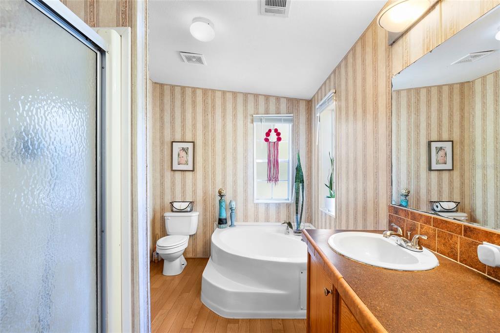 8742 Brazil Street Zephyrhills, FL 33540 - Photo 16 of 37