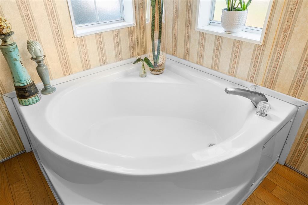 8742 Brazil Street Zephyrhills, FL 33540 - Photo 17 of 37