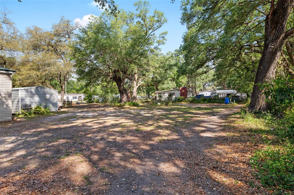 8742 Brazil Street Zephyrhills, FL 33540 - Photo 27 of 37