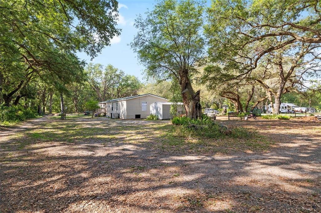 8742 Brazil Street Zephyrhills, FL 33540 - Photo 29 of 37