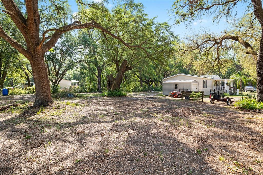 8742 Brazil Street Zephyrhills, FL 33540 - Photo 30 of 37