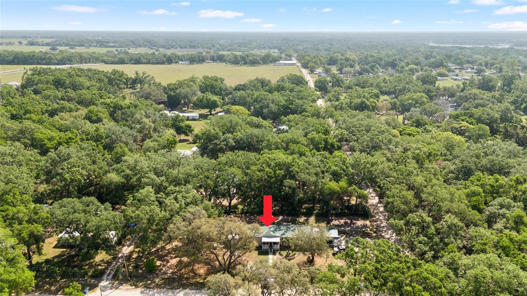 8742 Brazil Street Zephyrhills, FL 33540 - Photo 36 of 37