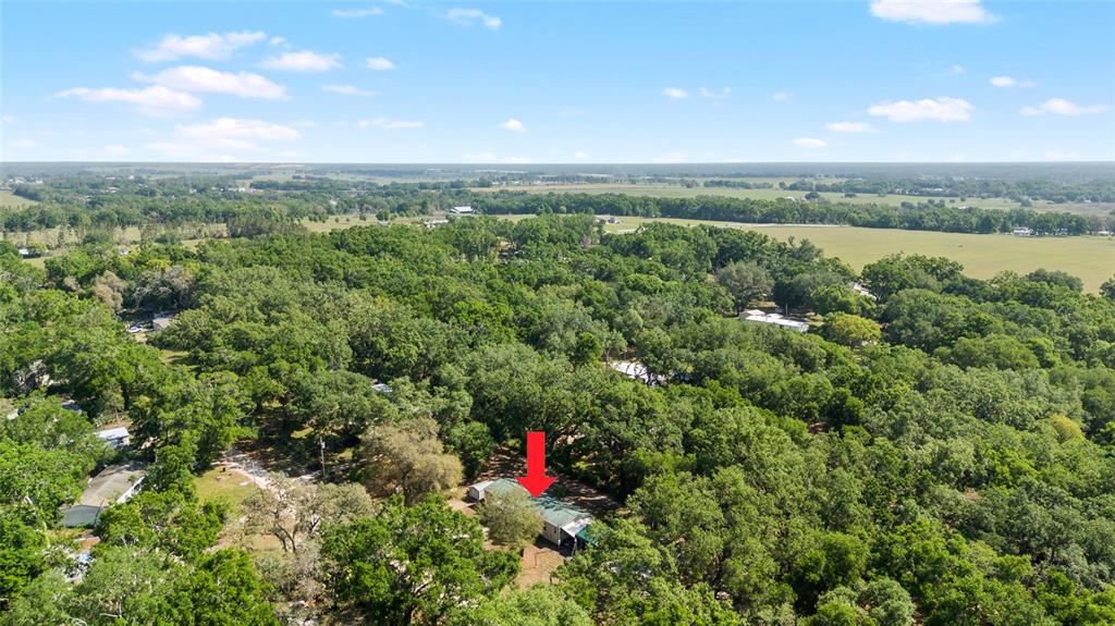 8742 Brazil Street Zephyrhills, FL 33540 - Photo 37 of 37