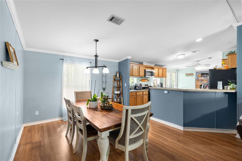 8742 Brazil Street Zephyrhills, FL 33540 - Photo 9 of 37