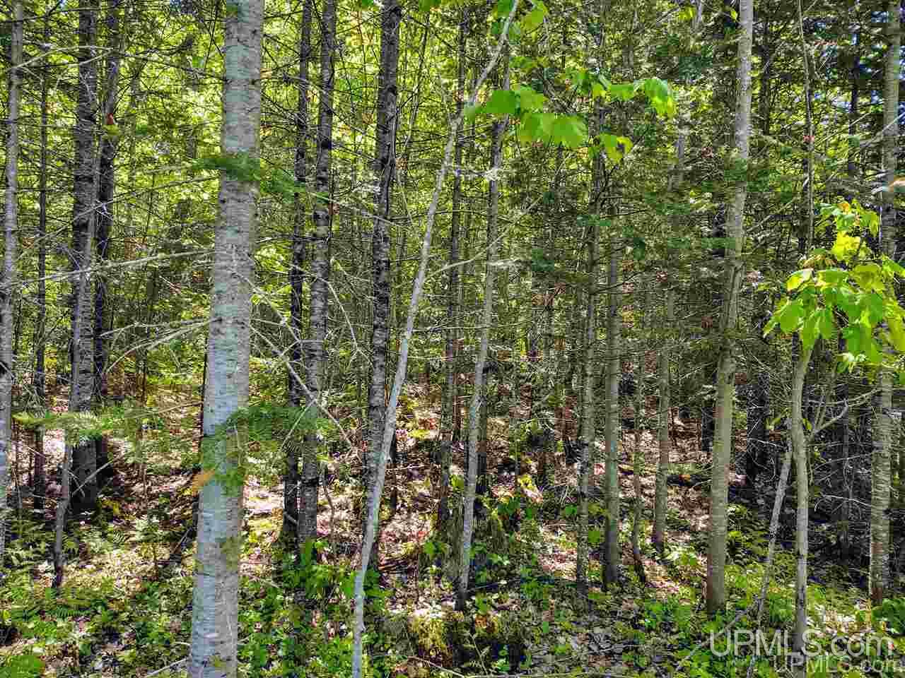 Tbd Co Rd Fp Republic, MI 49879 - Photo 19 of 33