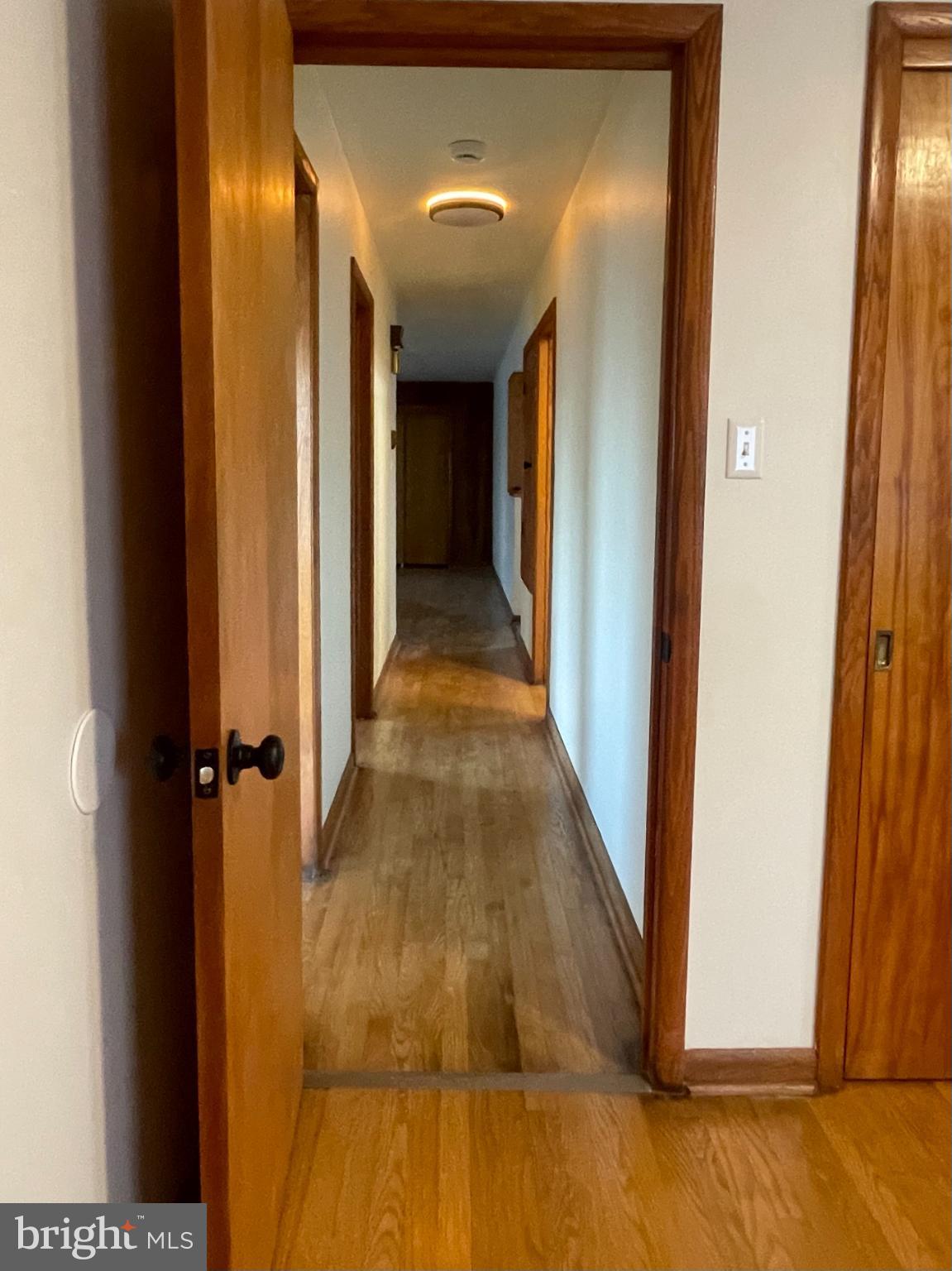 230 Armstrong Avenue Frostburg, MD 21532 - Photo 20 of 30 Inviting hallway with warm wooden accents.