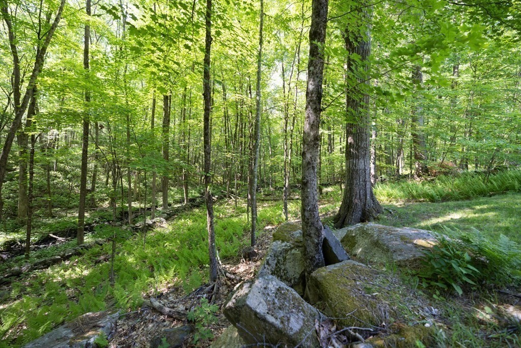 52 McGilpin Road Sturbridge, MA 01566 - Photo 7 of 36 Gallery Image 7