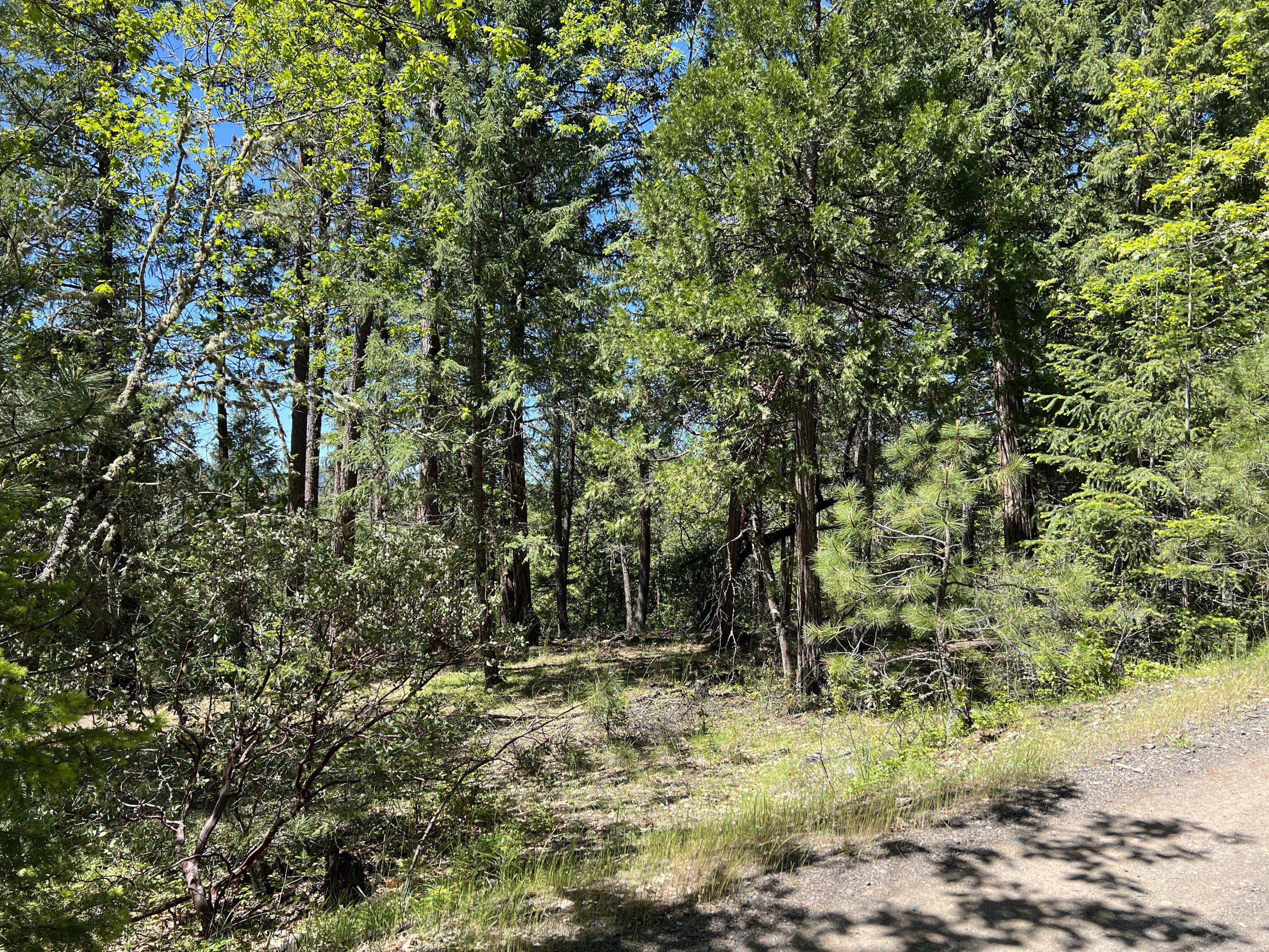 348 Flounce Rock Road Prospect, OR 97536 - Photo 3 of 12 IMG_2288