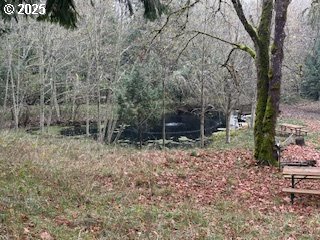 33900 Southeast Coupland Road Estacada, OR 97023 - Photo 22 of 25