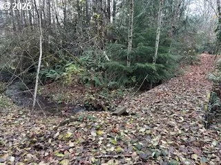 a view of a large yard with lots of green space
