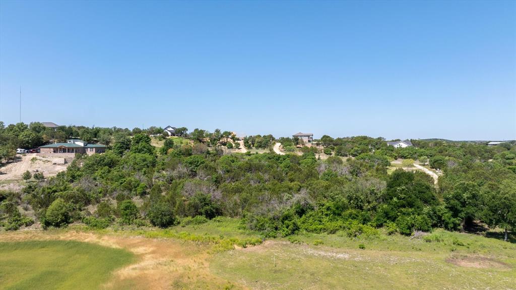 1015 Bluegill Ridge Bluff Dale, TX 76433 - Photo 10 of 19