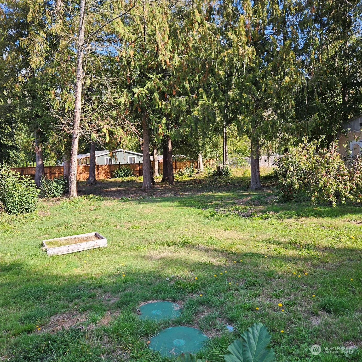46368 Baker Loop Road Concrete, WA 98237 - Photo 5 of 40 Gallery Image 5