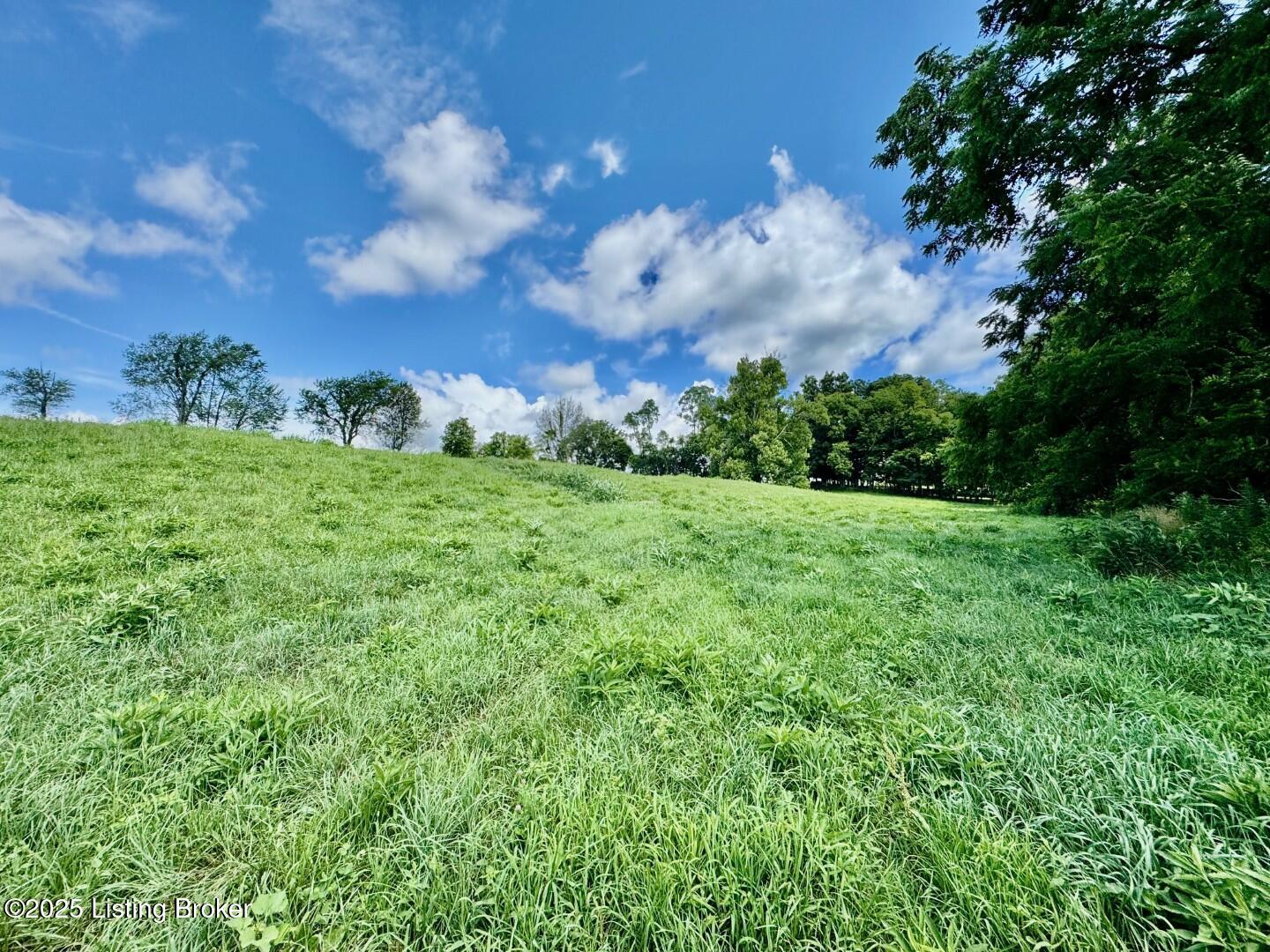 534 Long Lick Lane Springfield, KY 40069 - Photo 26 of 28 IMG_3410 (Large)