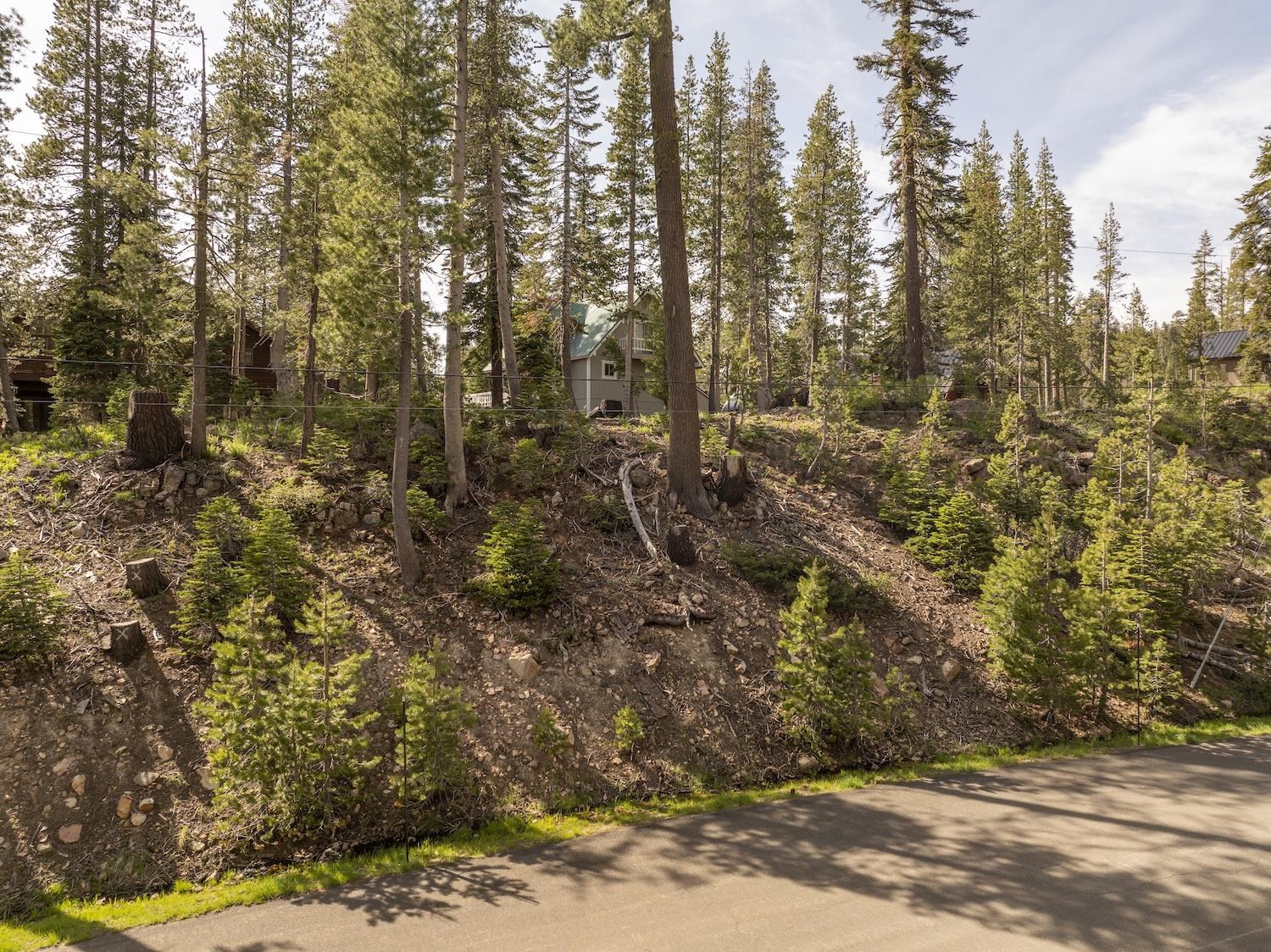 7227 Palisade Road Soda Springs, CA 95728 - Photo 5 of 9