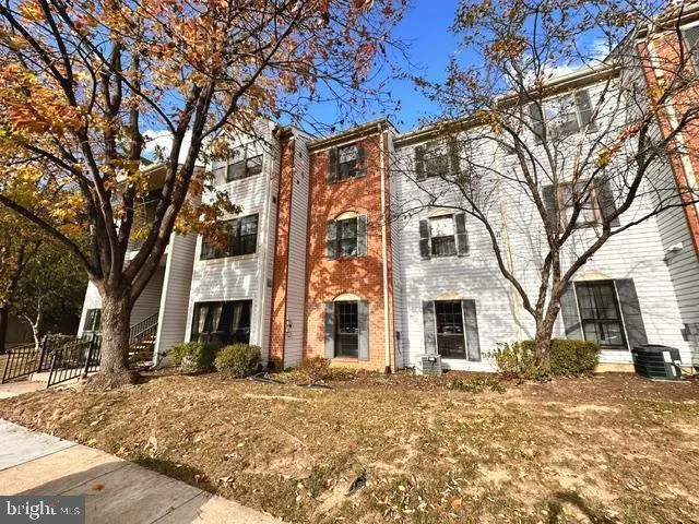 a view of a yard with a large tree
