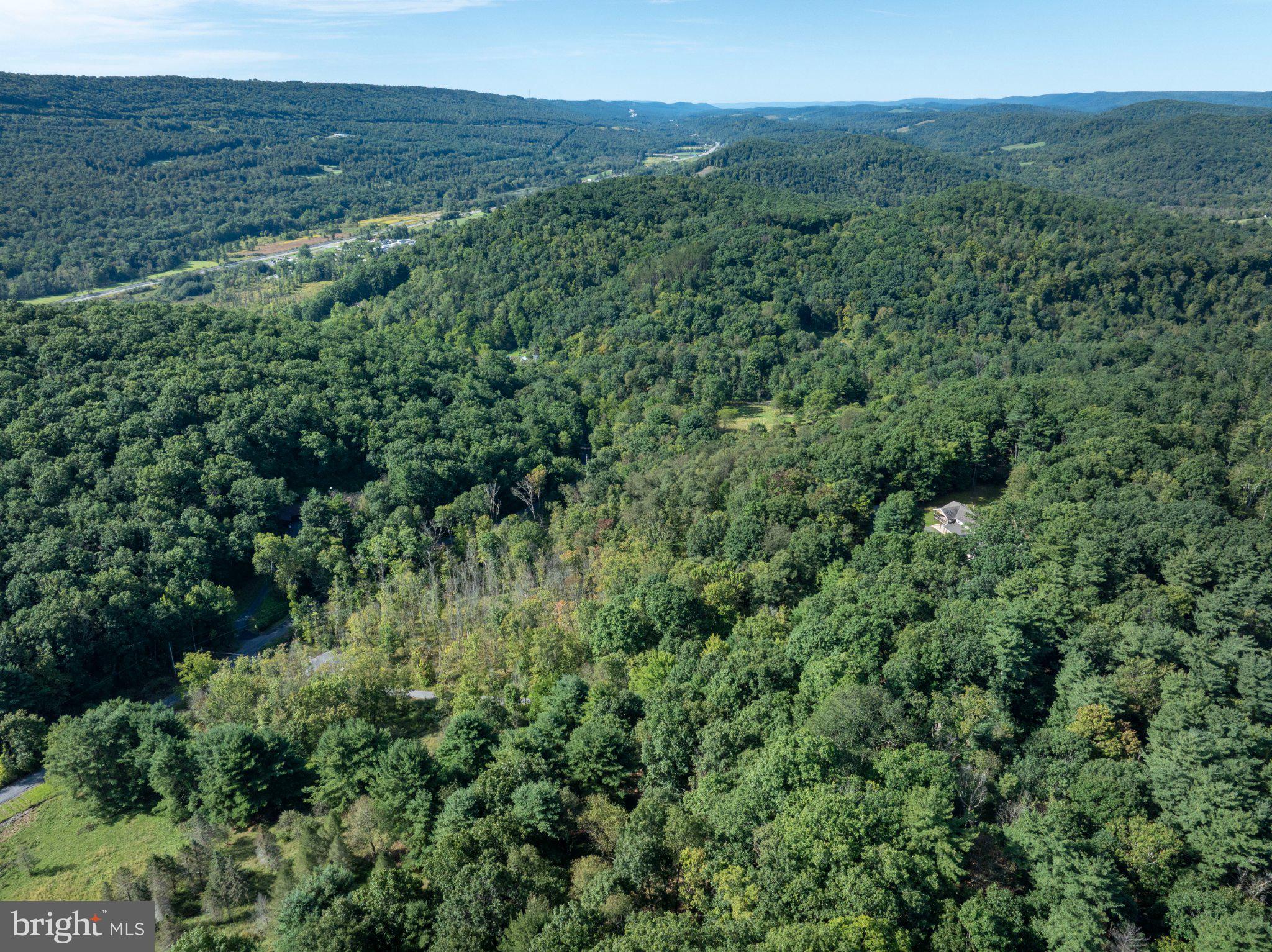 255 Shultz Hollow Road Julian, PA 16844 - Photo 78 of 86 Gallery Image 78