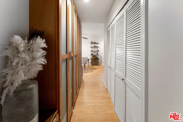 a view of a hallway with wooden floor and a potted plant