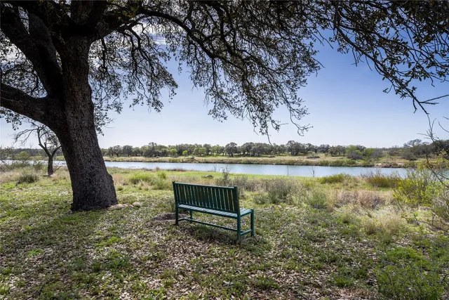 a view of a lake with a bench and a large tree