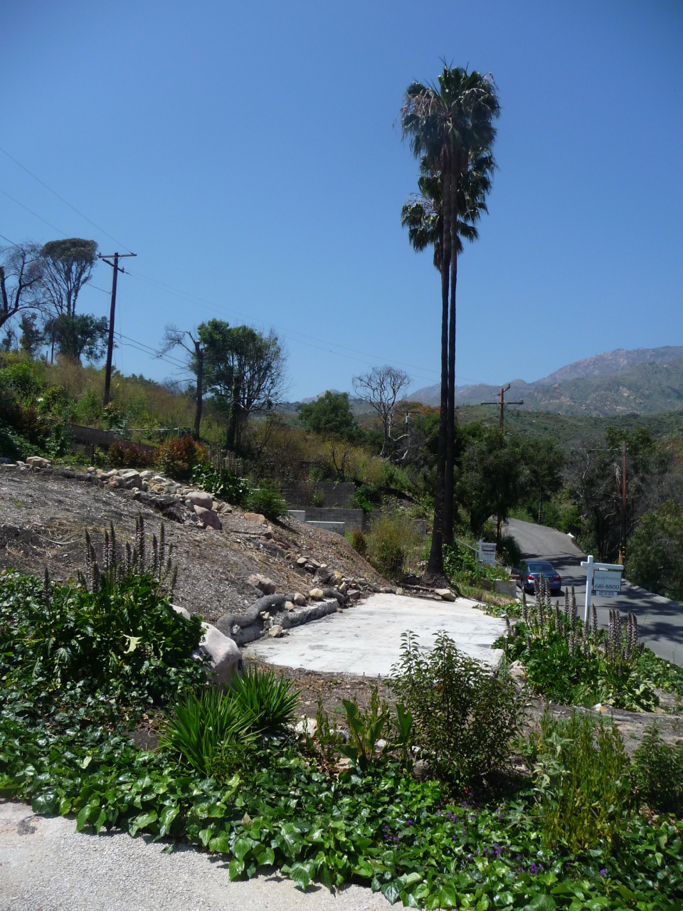 444 Conejo Road Santa Barbara, CA 93103 - Photo 3 of 5 a view of a bench in a garden