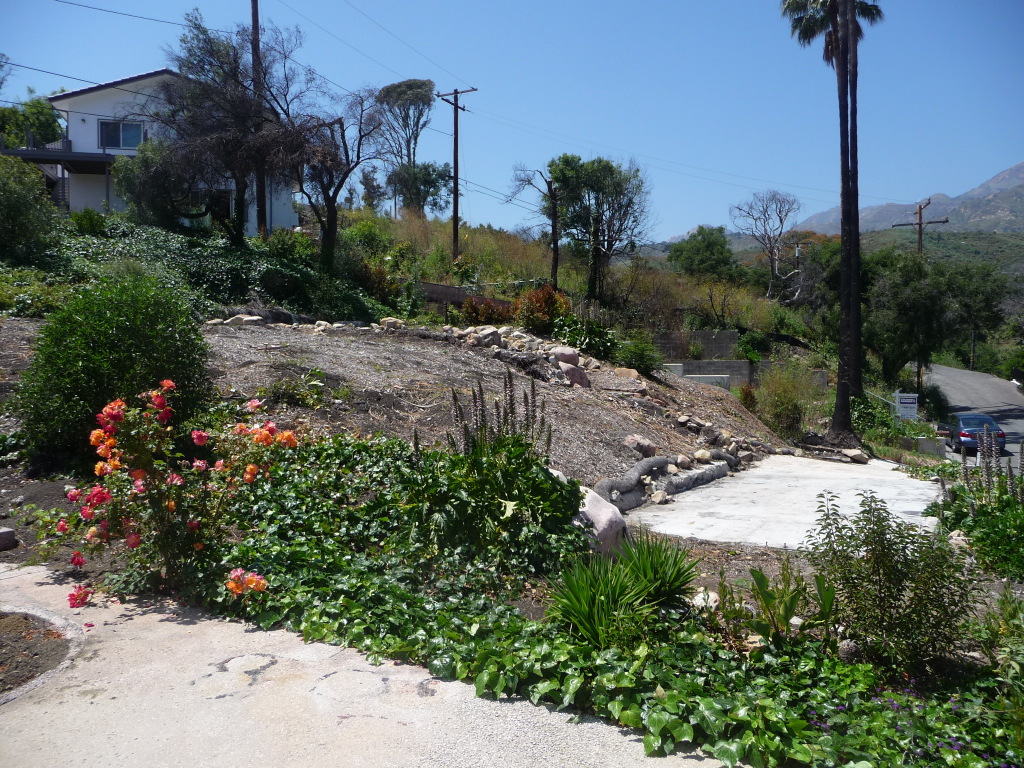444 Conejo Road Santa Barbara, CA 93103 - Photo 4 of 5 a picture of plants