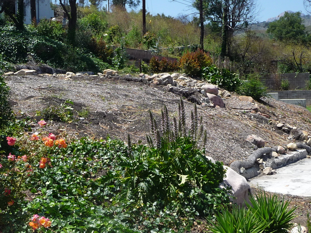 444 Conejo Road Santa Barbara, CA 93103 - Photo 5 of 5 a view of a yard with plants and large trees