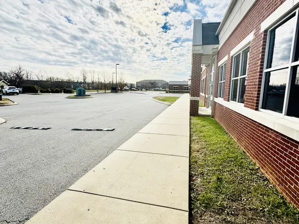 a view of balcony with two large trees and cars parked in front of it