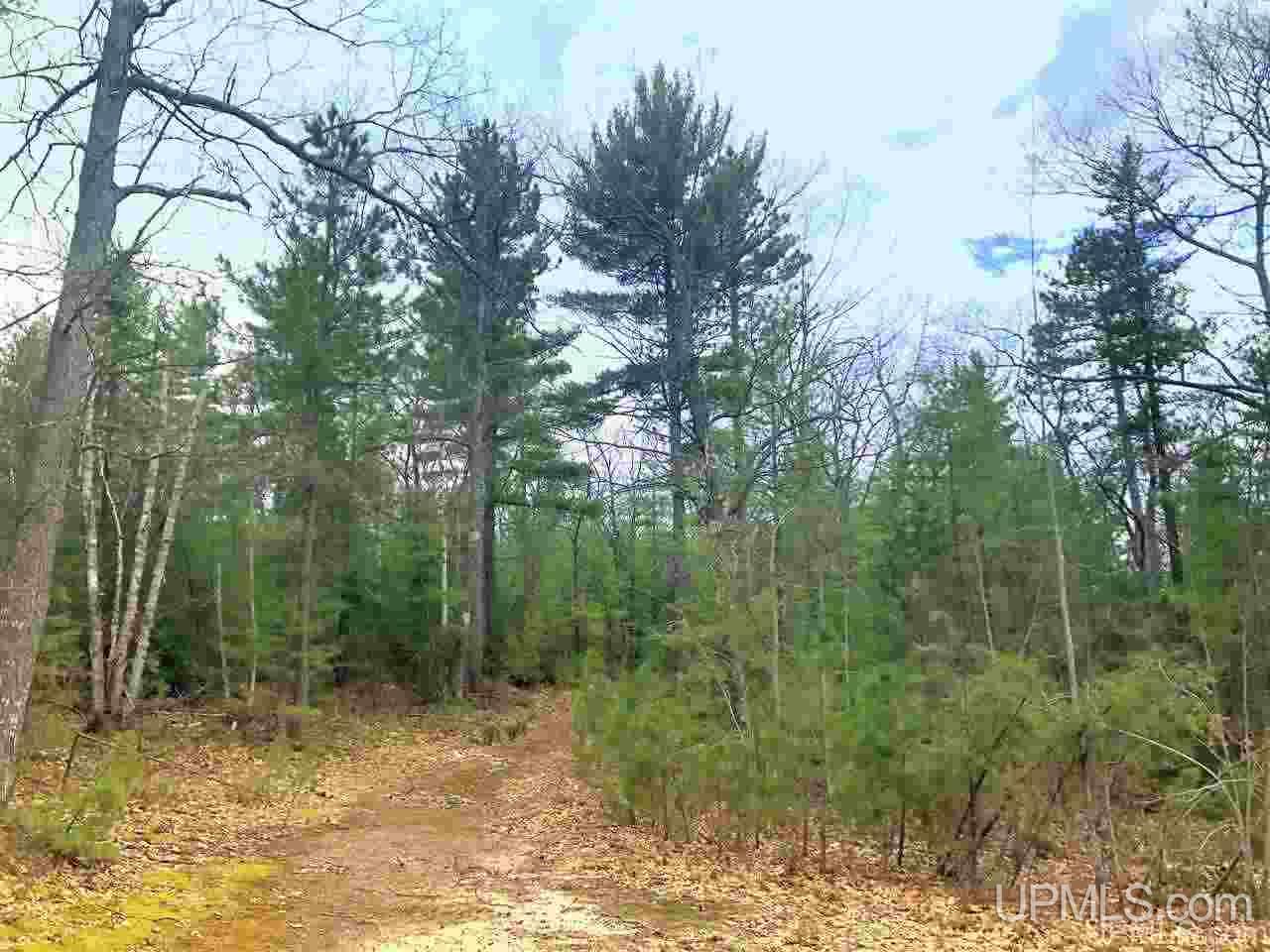 Tbd Valley Road Marquette, MI 49855 - Photo 29 of 59