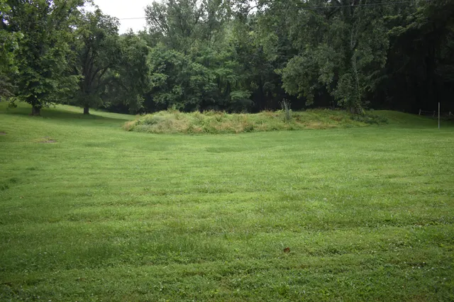 a view of outdoor space with green field and trees