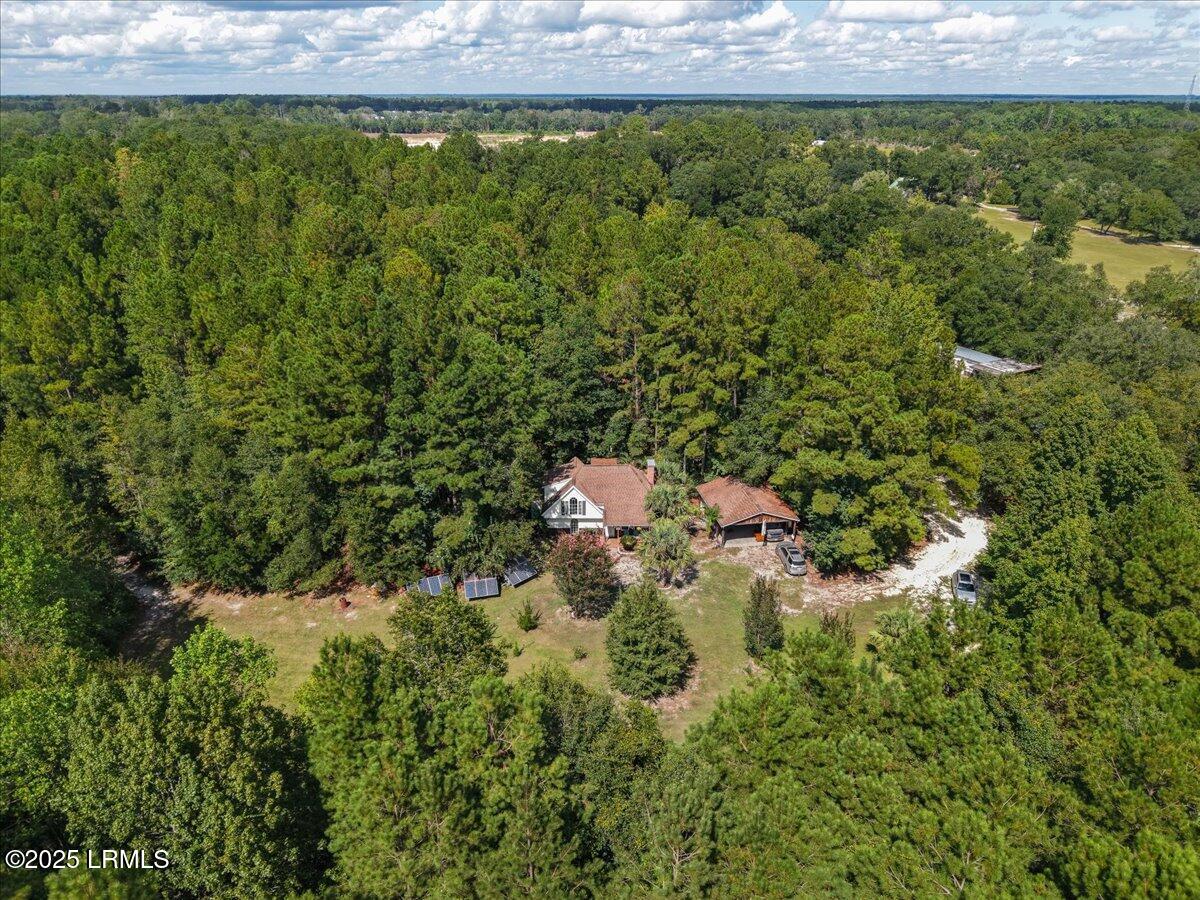 168 Walker Road Early Branch, SC 29916 - Photo 30 of 35 38-Aerial