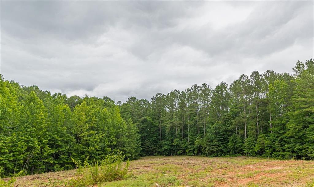 0 Helton Road, Winston, GA 30187 Compass