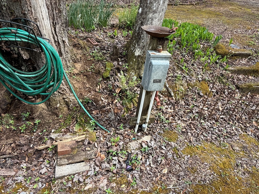 487 Wikle Road Hayesville, NC 28904 - Photo 17 of 50