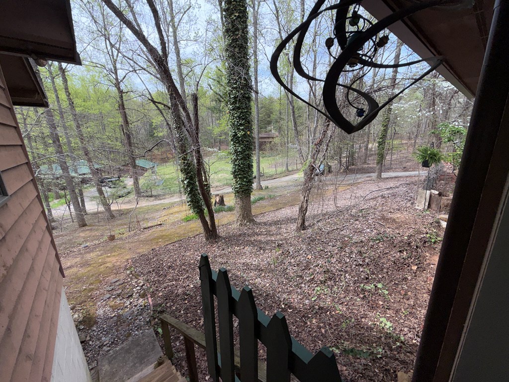 487 Wikle Road Hayesville, NC 28904 - Photo 40 of 50