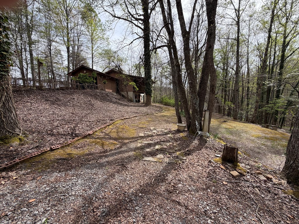 487 Wikle Road Hayesville, NC 28904 - Photo 4 of 50