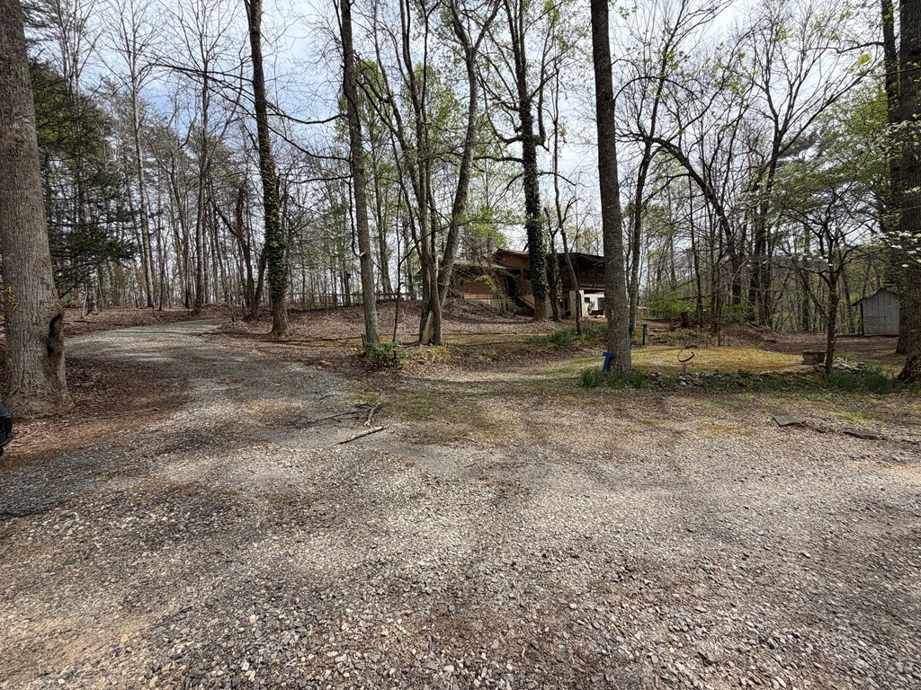 487 Wikle Road Hayesville, NC 28904 - Photo 5 of 50