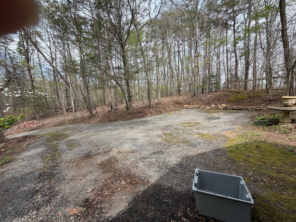 487 Wikle Road Hayesville, NC 28904 - Photo 8 of 50