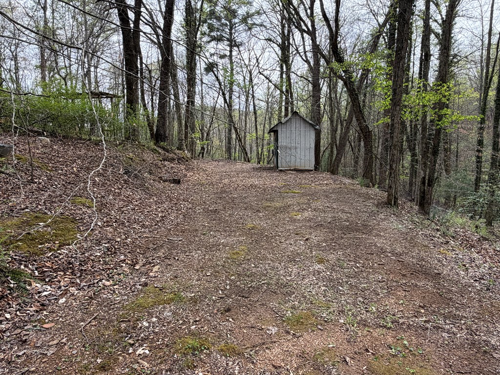 487 Wikle Road Hayesville, NC 28904 - Photo 9 of 50