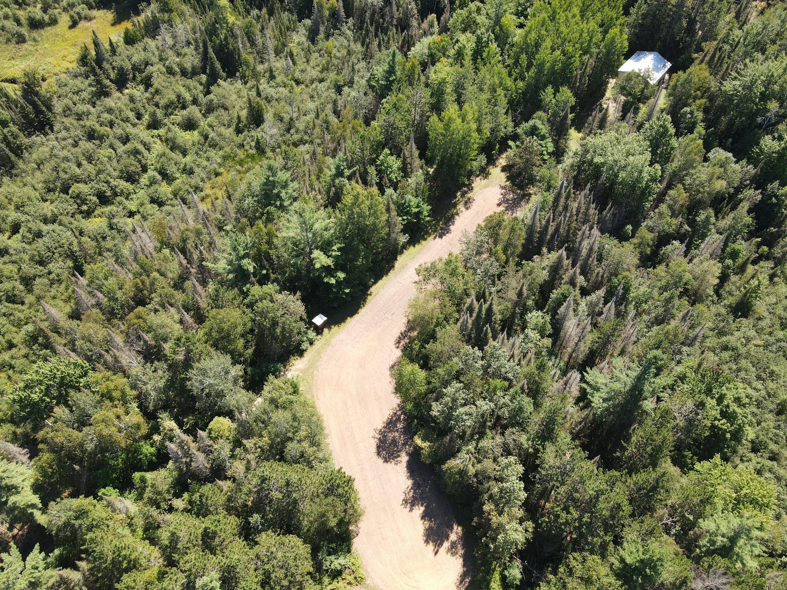 6720 Welch Road Curran, MI 48728 - Photo 121 of 155 DJI_0672