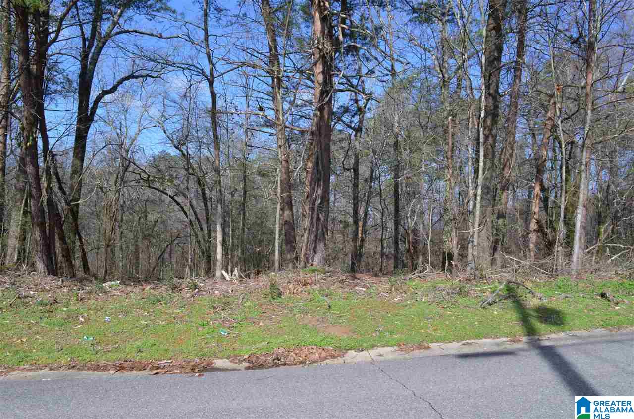 820 Twin Ridge Drive, Unit 58 Gardendale, AL 35071 - Photo 2 of 2