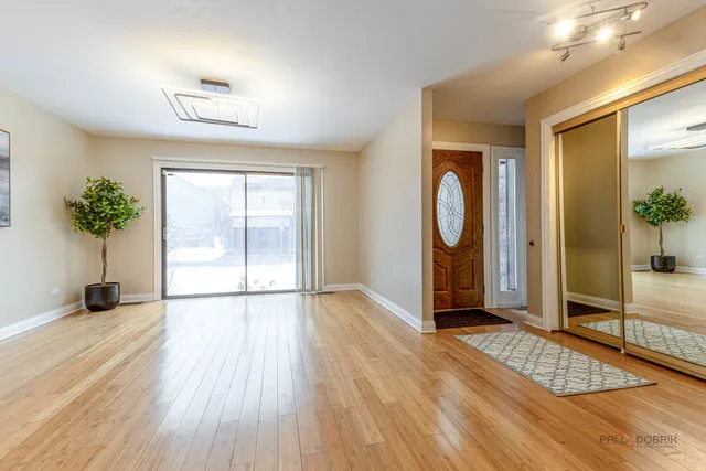 a view of empty room with wooden floor and potted plant
