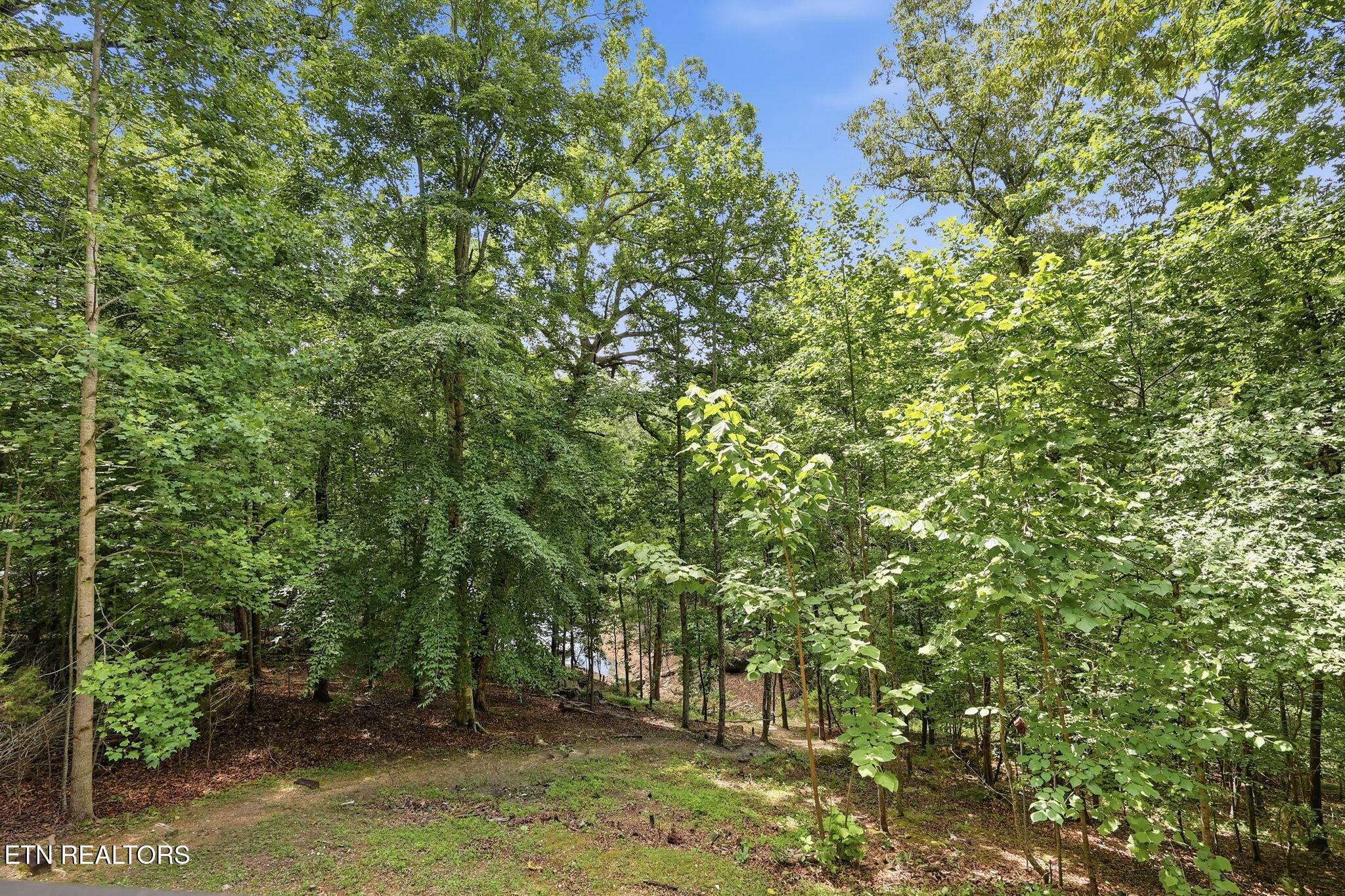 112 Royce Road Andersonville, TN 37705 - Photo 22 of 41 22-web-or-mls-22_112_Royce