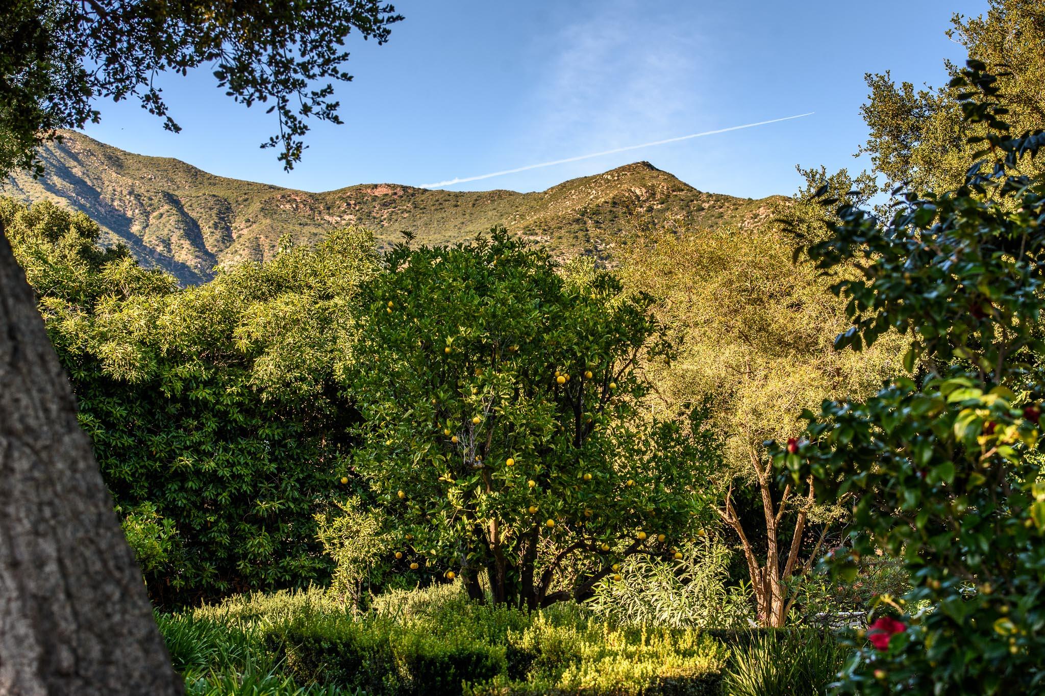 800 Hot Springs Road Montecito, CA 93108 - Photo 20 of 22 a view of a mountain