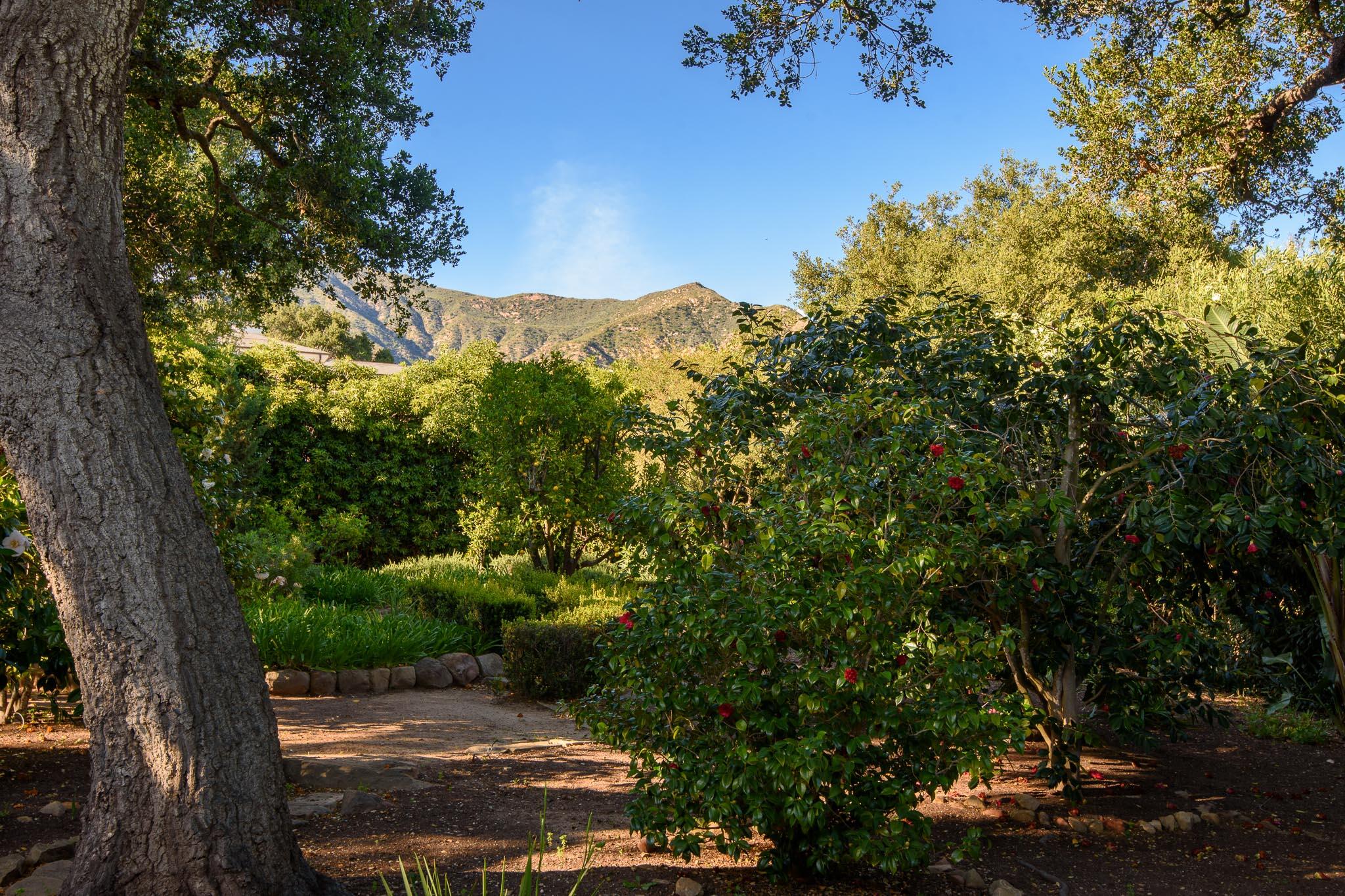 800 Hot Springs Road Montecito, CA 93108 - Photo 4 of 22 a view of a yard with an tree